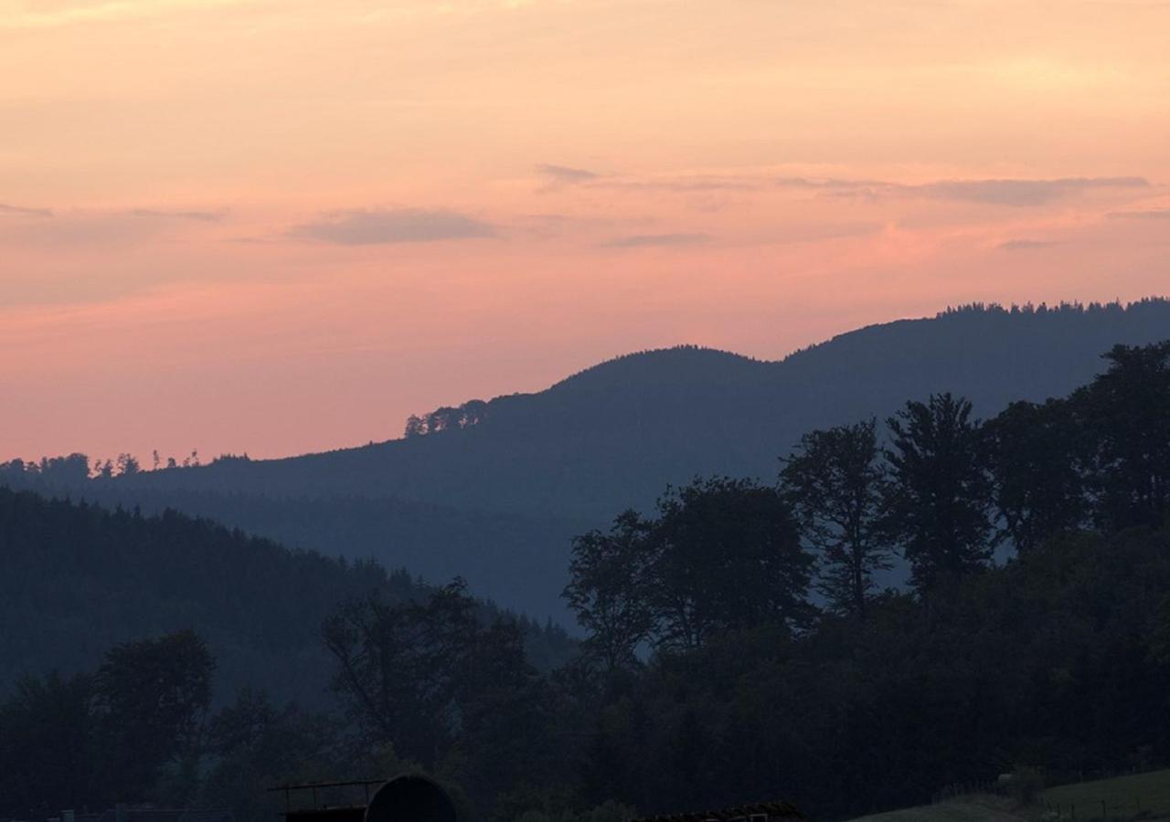 Hotel Suedhang Niedersfeld ภายนอก รูปภาพ